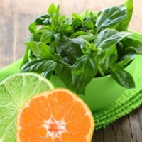 Fragrance Oil - Lime Basil Mandarin (JM type) (new formula)