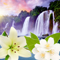 Fragrance Oil - Tahitian Waterfall
