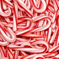 Fragrance Oil - Candy Cane