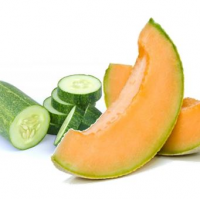 Fragrance Oil - Cucumber & Melon