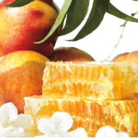 Fragrance Oil - Nectarine Blossom Honey (JM type) 