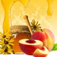 Fragrance Oil - Nectarine & Honey