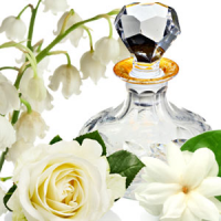 Fragrance Oil - Pleasures (W) (type)