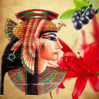 Fragrance Oil - Queen of the Nile