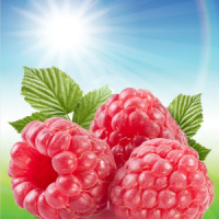 Fragrance Oil - Sun Ripened Raspberry (type)