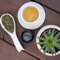 Fragrance Oil - White Tea & Cactus (type)